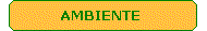 AMBIENTE